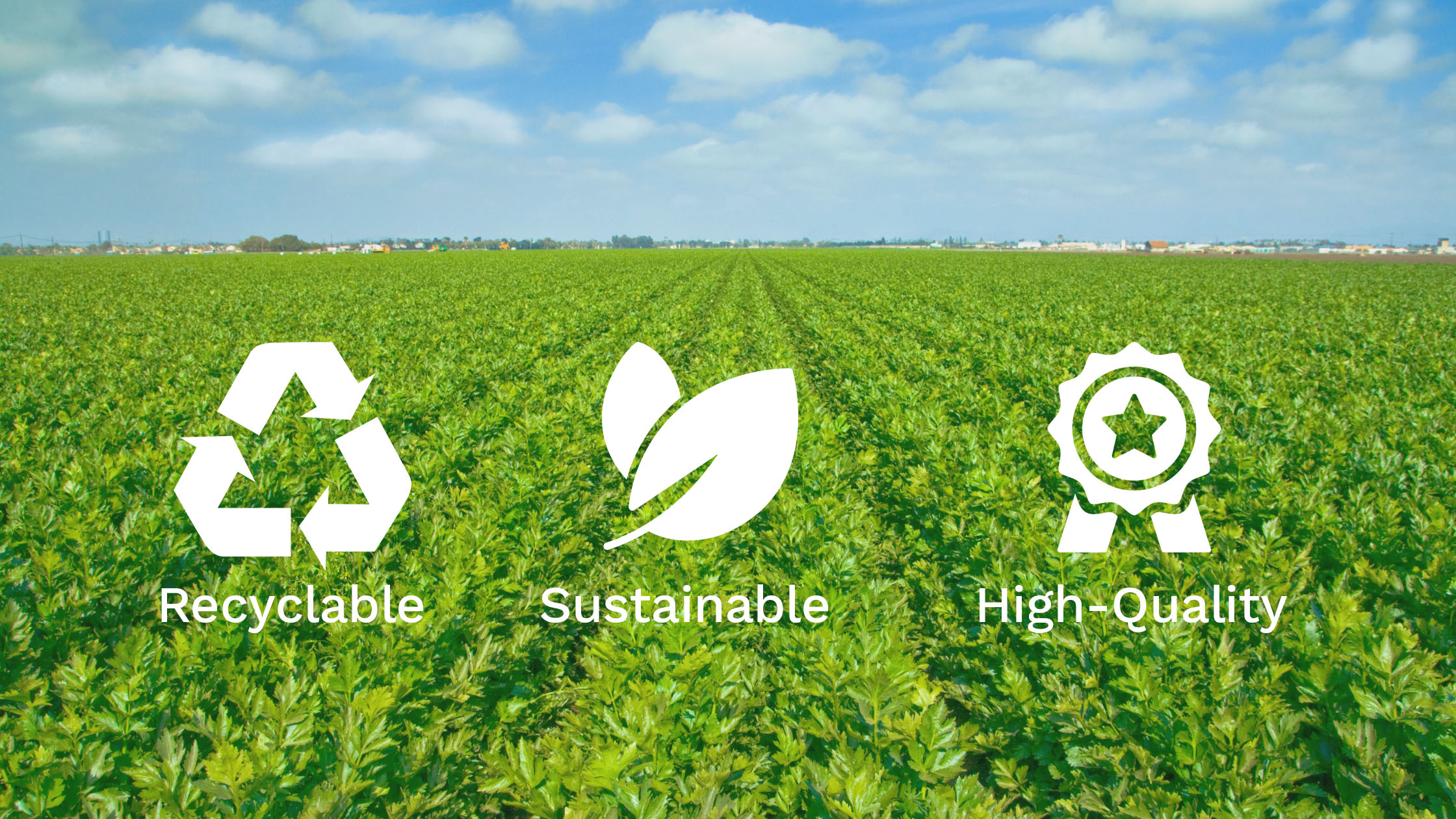 Commitment to Recycled and Sustainable Products
